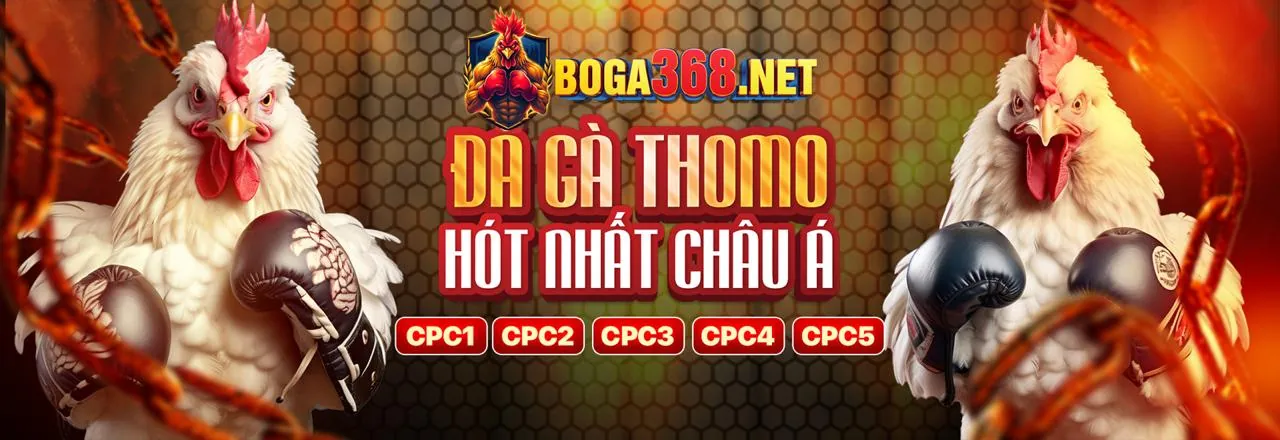 Đá gà trực tuyến awin68 game
